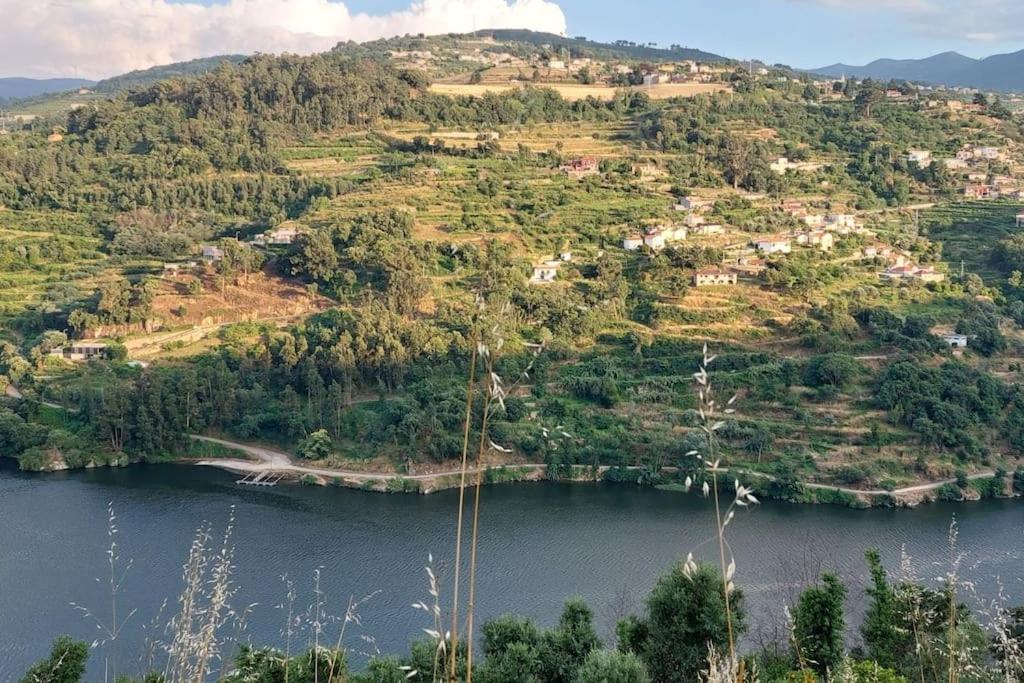 Quinta Dos Castros Douro Villa Baião Buitenkant foto