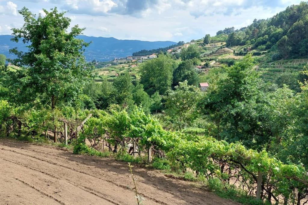 Quinta Dos Castros Douro Villa Baião Buitenkant foto