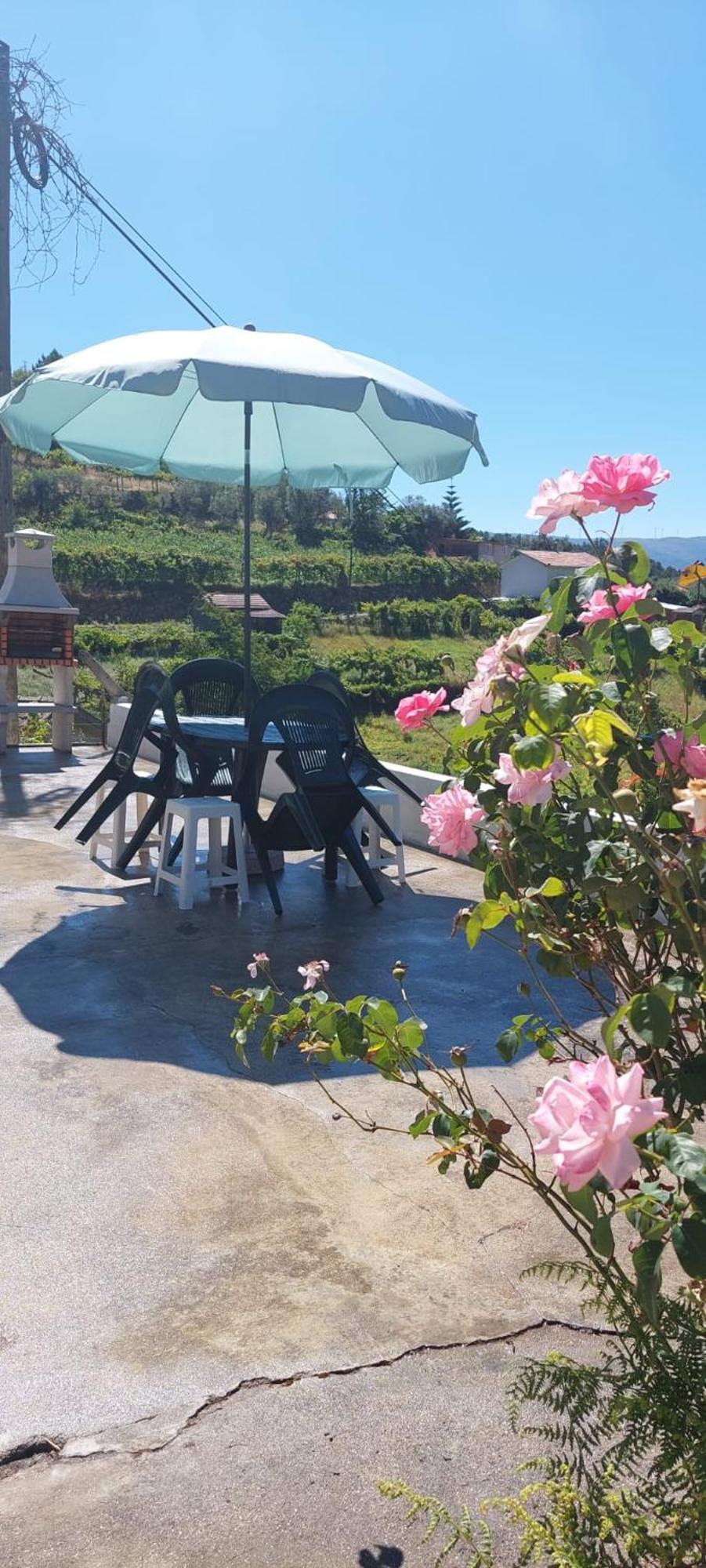 Quinta Dos Castros Douro Villa Baião Buitenkant foto