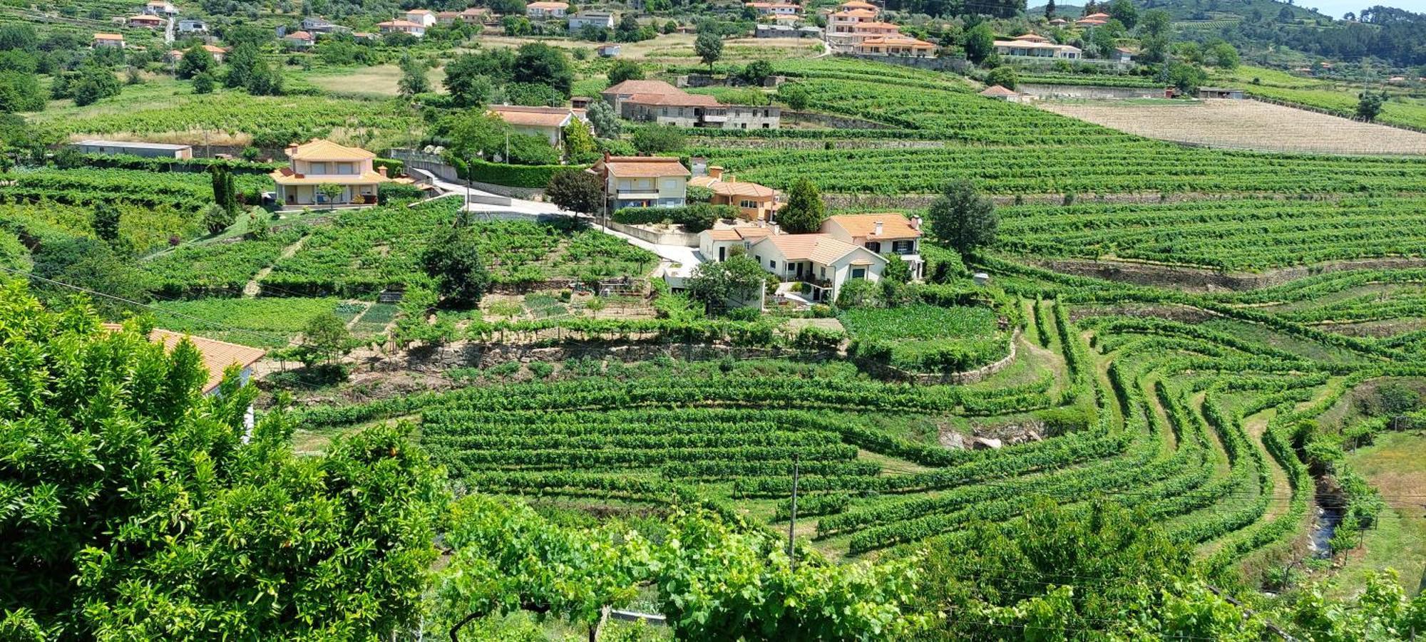 Quinta Dos Castros Douro Villa Baião Buitenkant foto