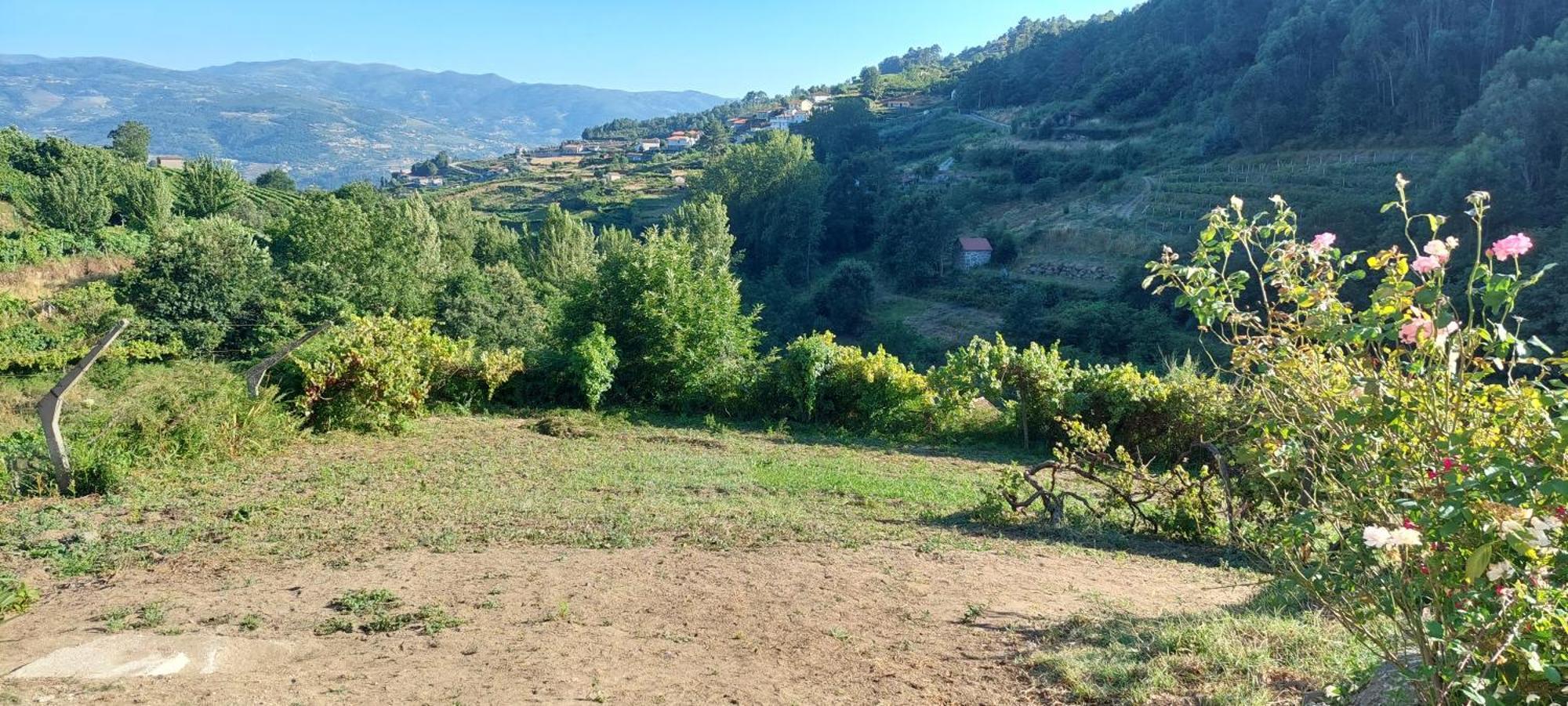 Quinta Dos Castros Douro Villa Baião Buitenkant foto