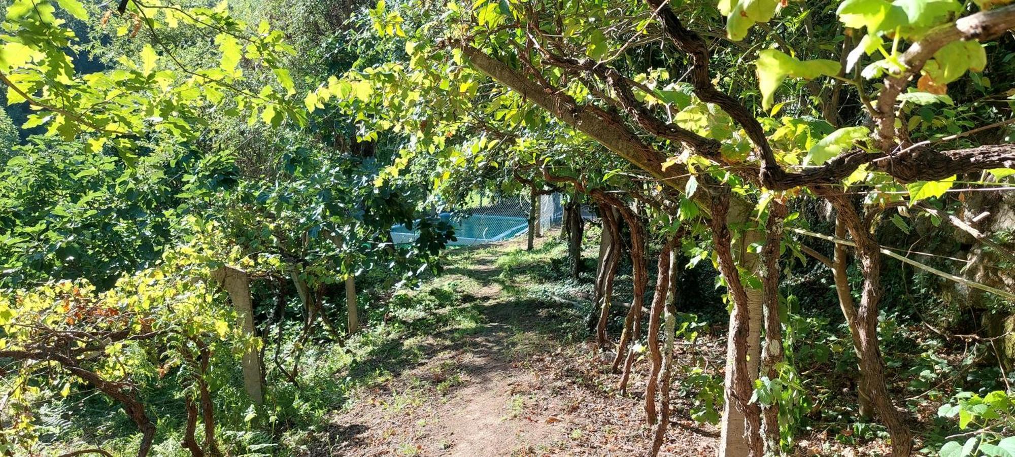 Quinta Dos Castros Douro Villa Baião Buitenkant foto