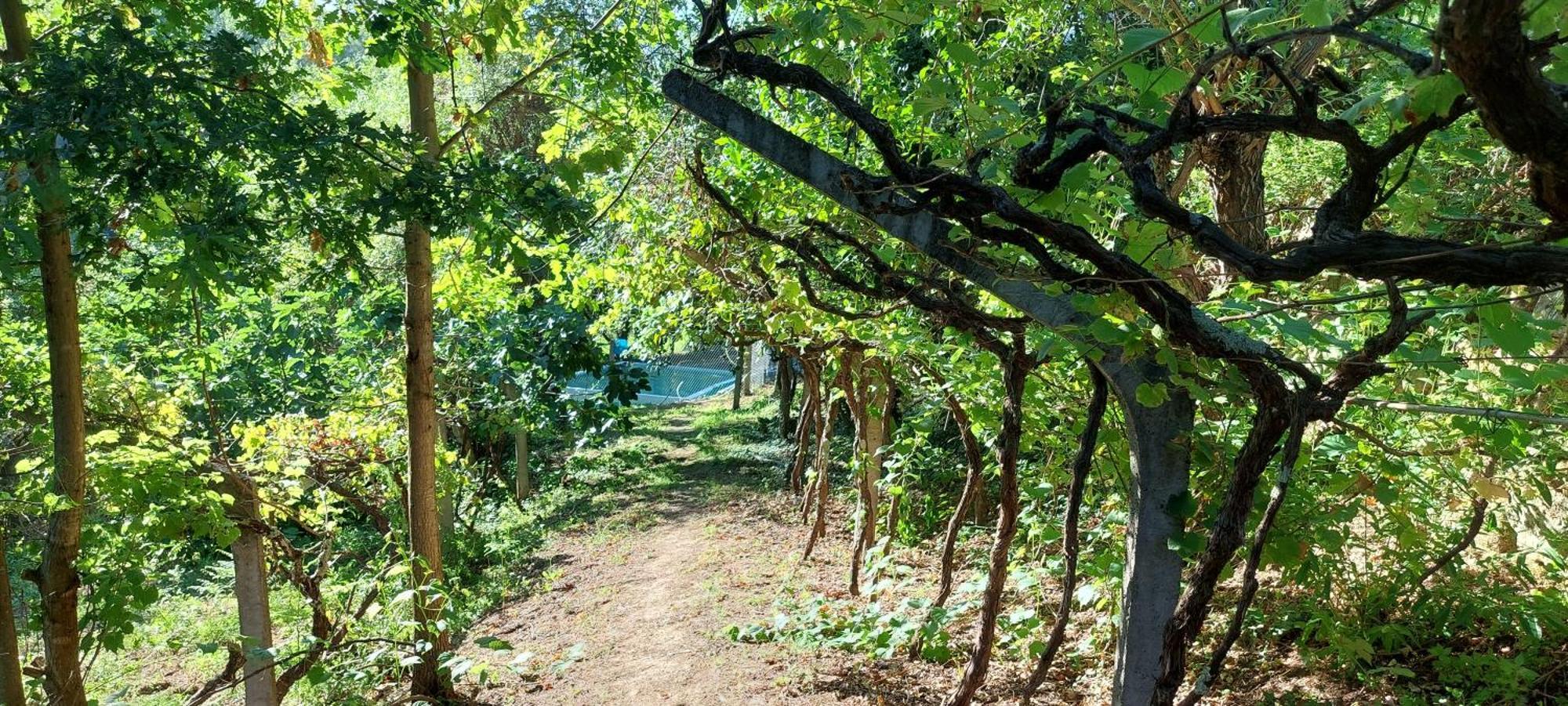 Quinta Dos Castros Douro Villa Baião Buitenkant foto