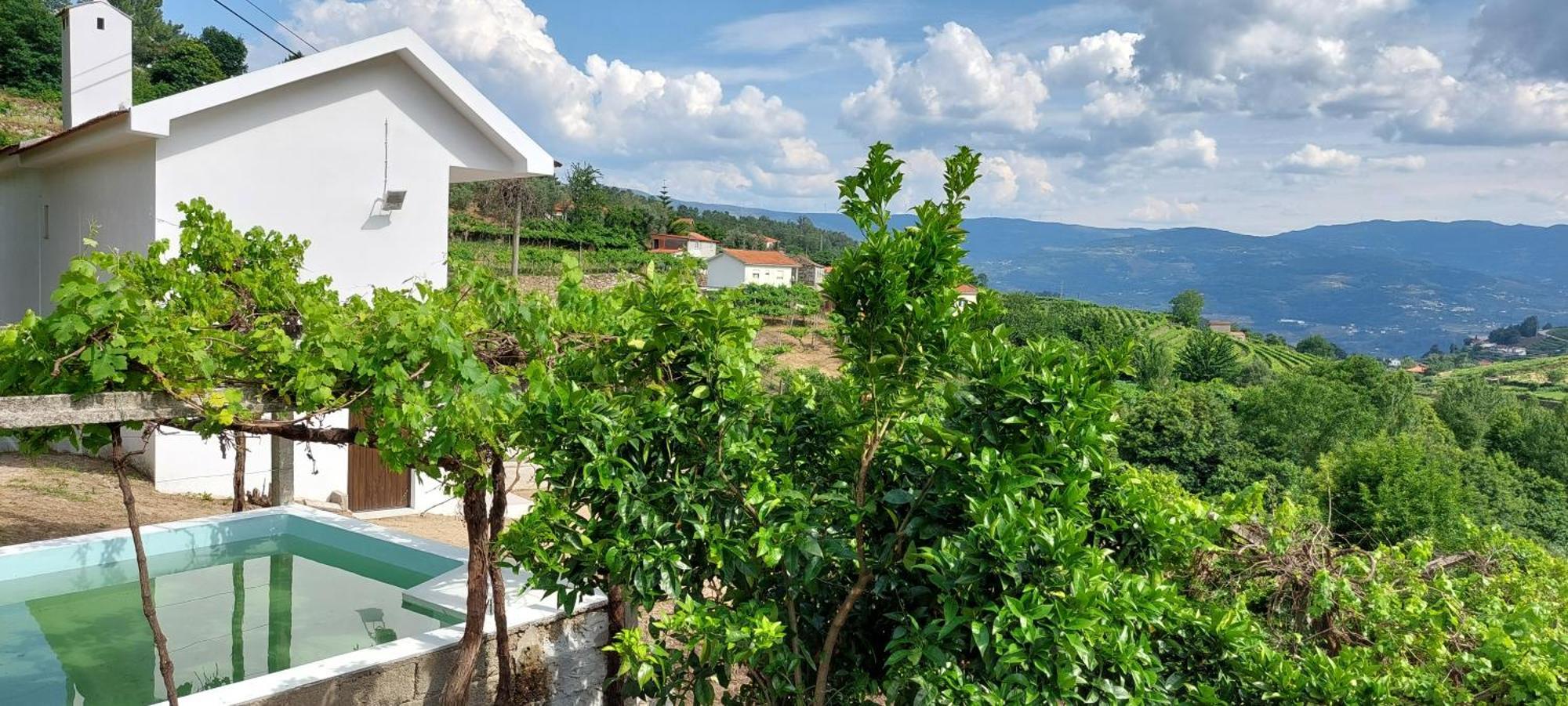 Quinta Dos Castros Douro Villa Baião Buitenkant foto