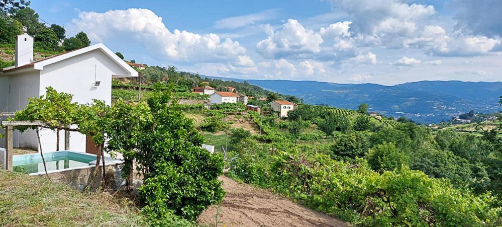Quinta Dos Castros Douro Villa Baião Buitenkant foto