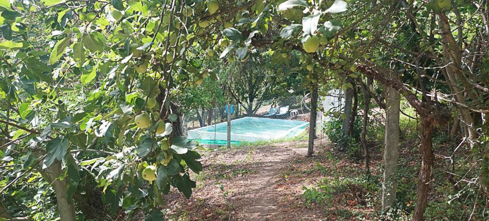 Quinta Dos Castros Douro Villa Baião Buitenkant foto