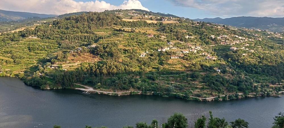 Quinta Dos Castros Douro Villa Baião Buitenkant foto
