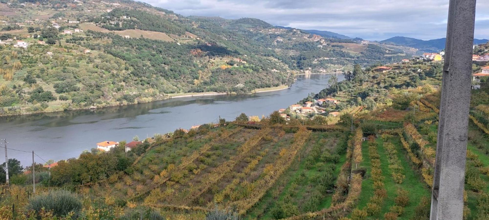 Quinta Dos Castros Douro Villa Baião Buitenkant foto