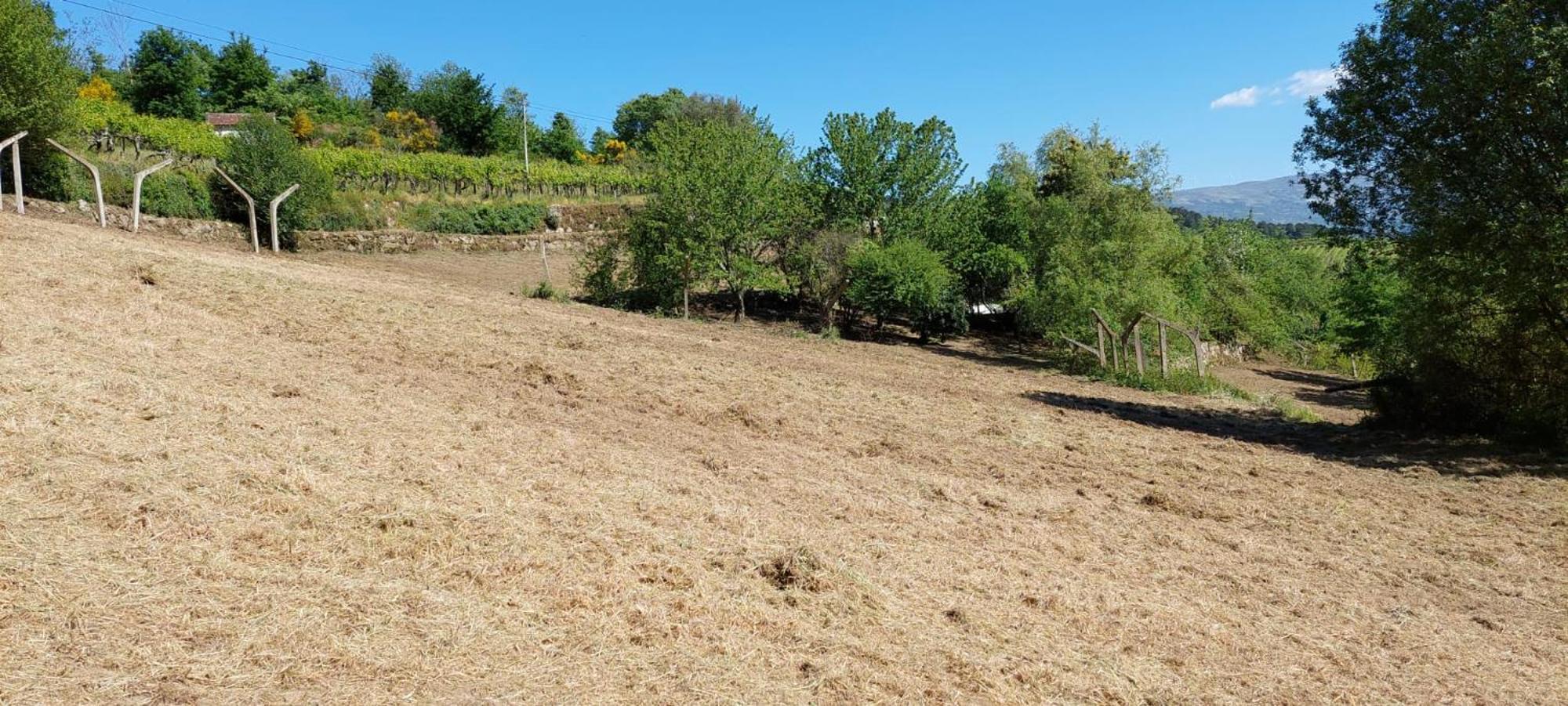 Quinta Dos Castros Douro Villa Baião Buitenkant foto