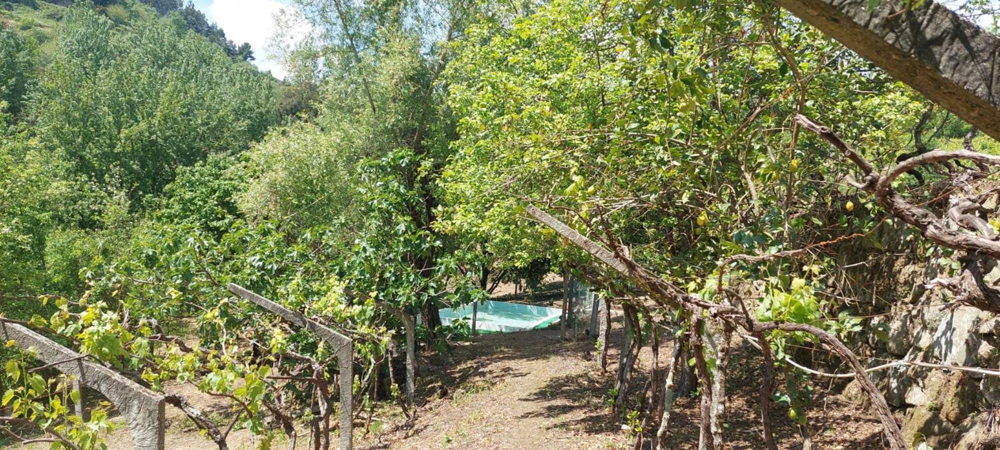 Quinta Dos Castros Douro Villa Baião Buitenkant foto